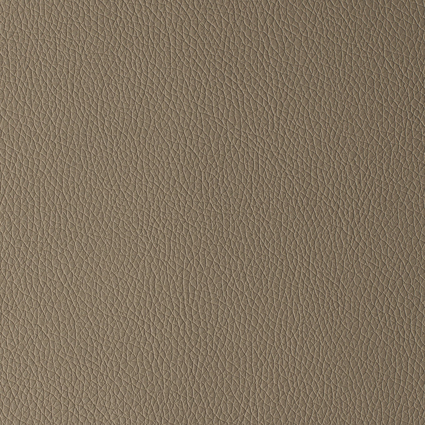 Arizona Taupe