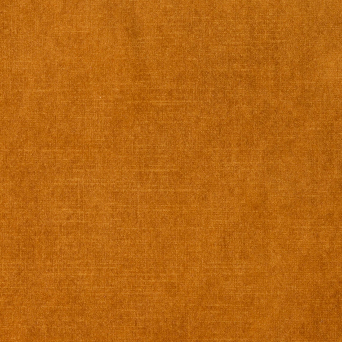 Vintage Velvet Gold