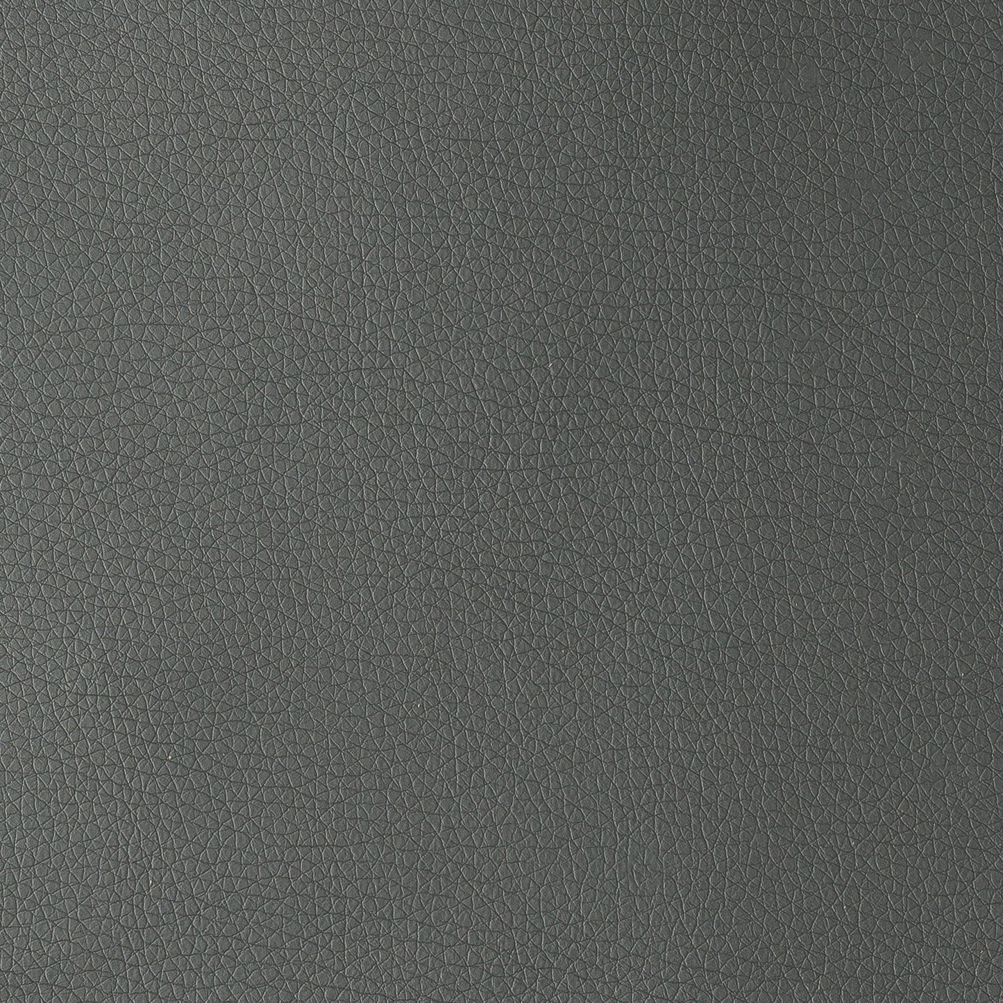 Uruguay Ash