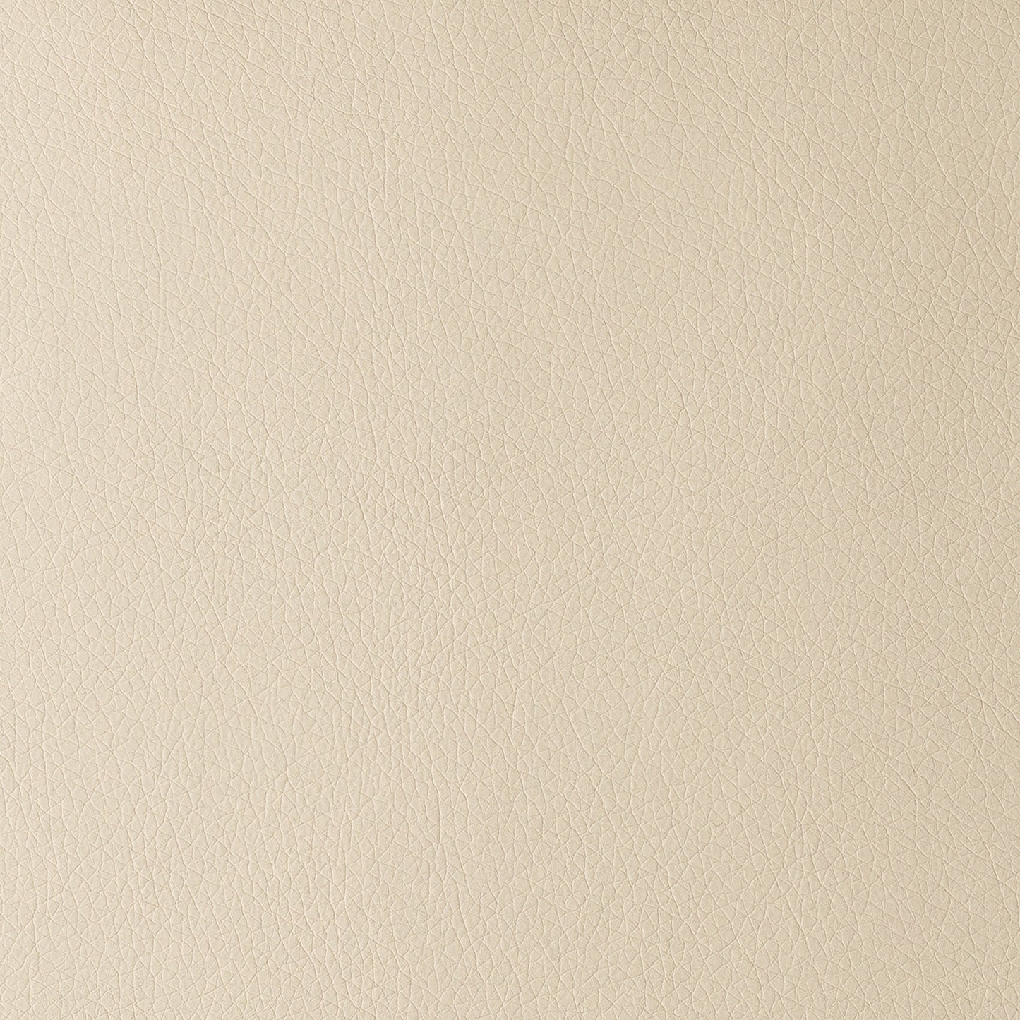 Uruguay Ivory