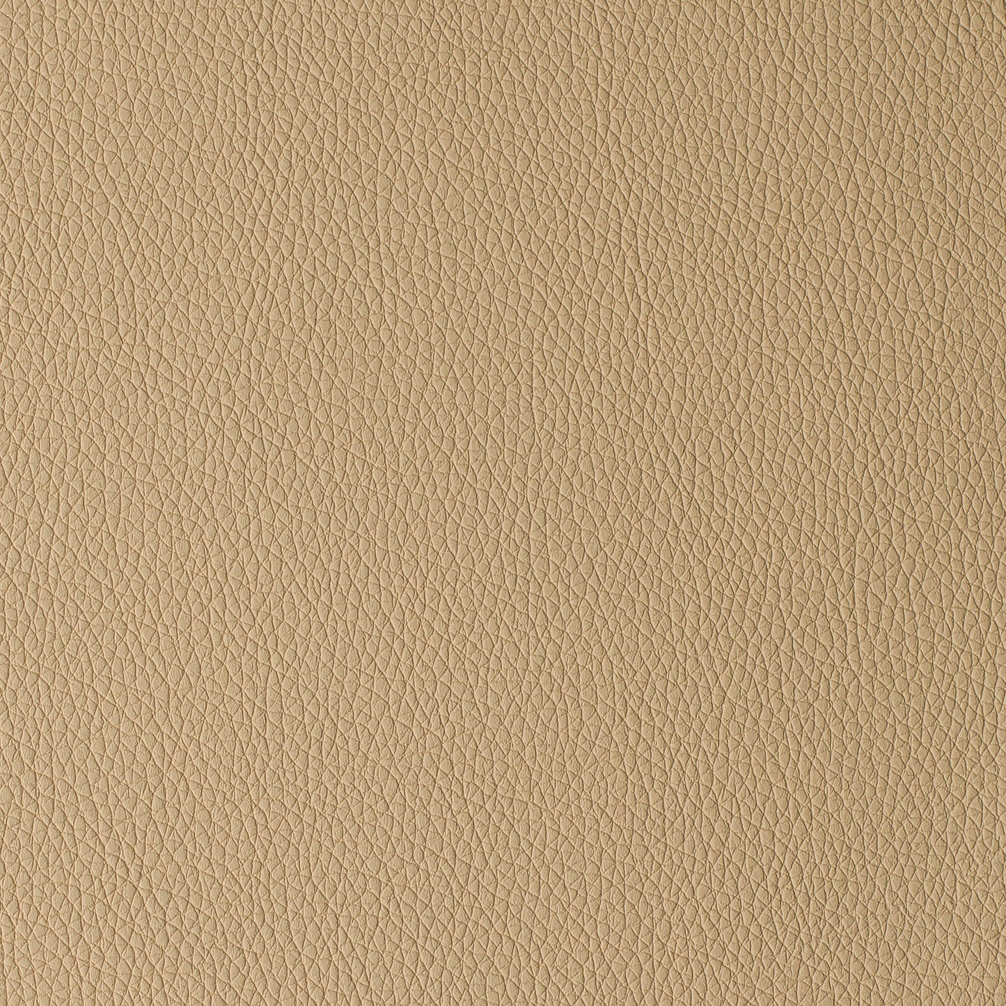 Arizona  Beige