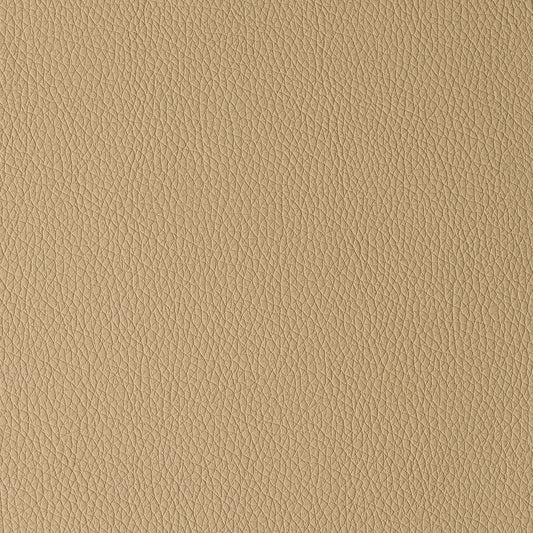 Arizona  Beige