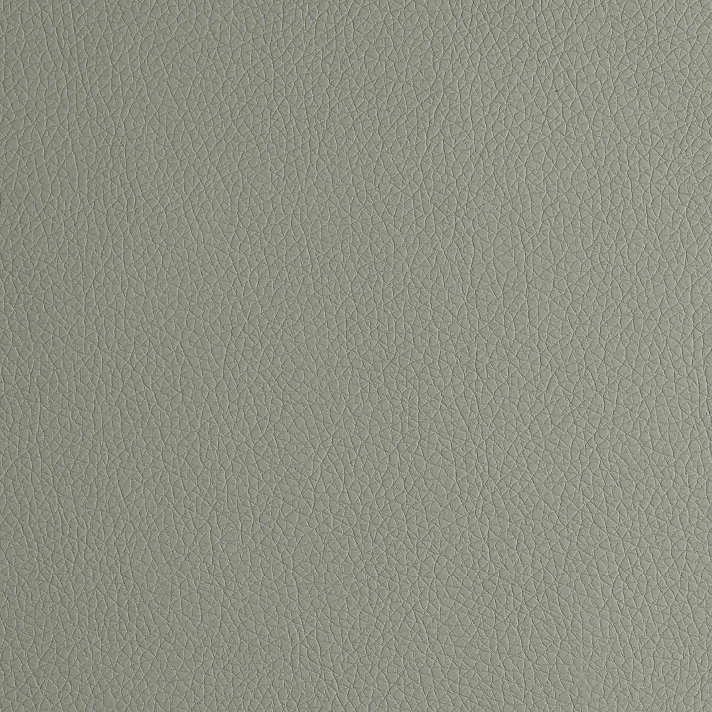 Arizona  Light Grey