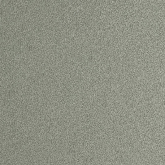 Arizona  Light Grey