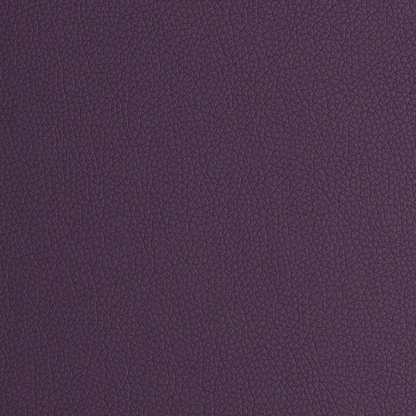Arizona  Purple