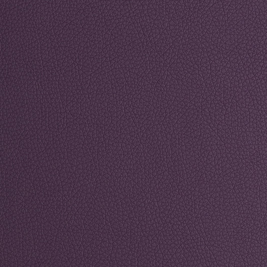 Arizona  Purple