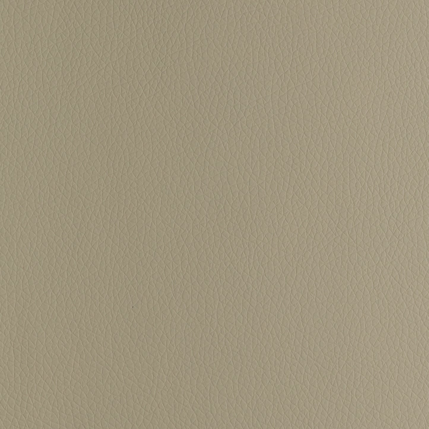 P02 Ivory