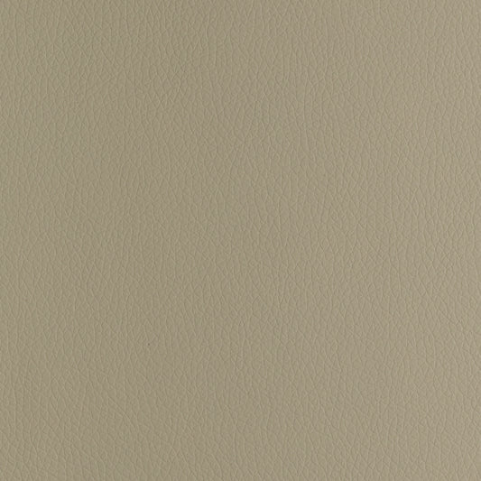 P02 Ivory