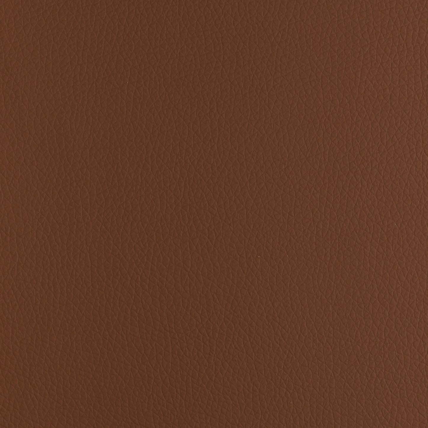P02 Dark Camel