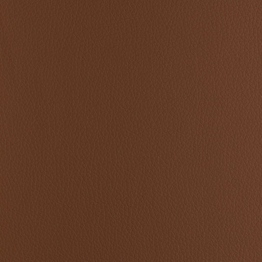 P02 Dark Camel