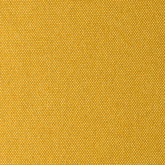 Musa Yellow