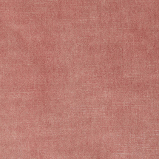 Vintage Velvet Coral