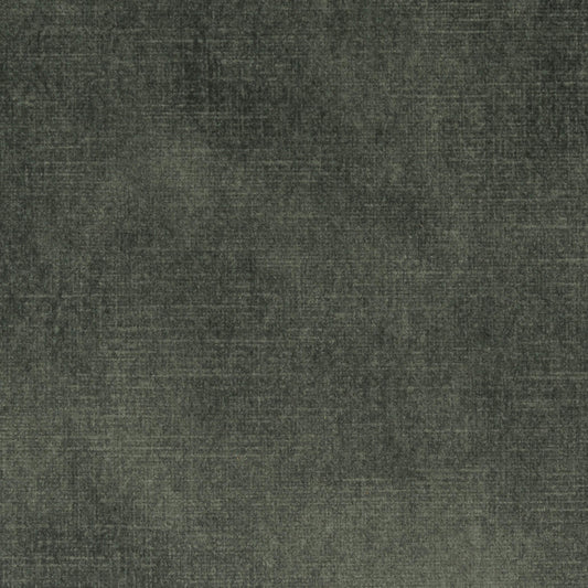 Vintage Velvet Forest
