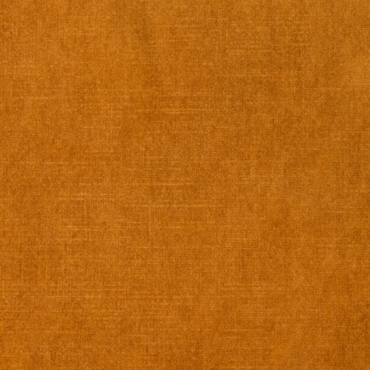 Vintage Velvet Gold