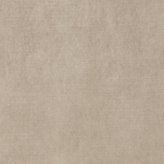 Vintage Velvet Sand