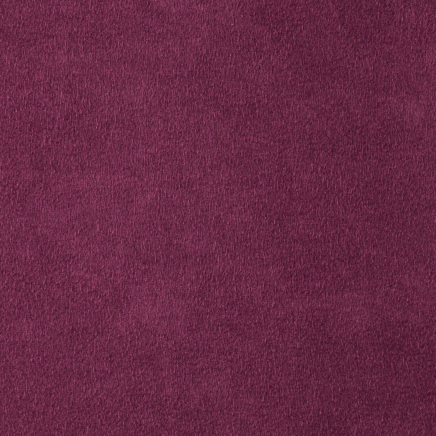 Munich Purple