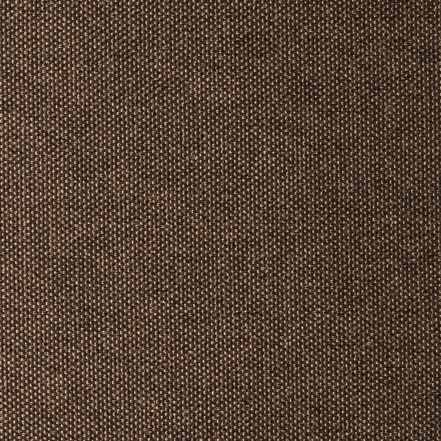 Musa Mixed Brown