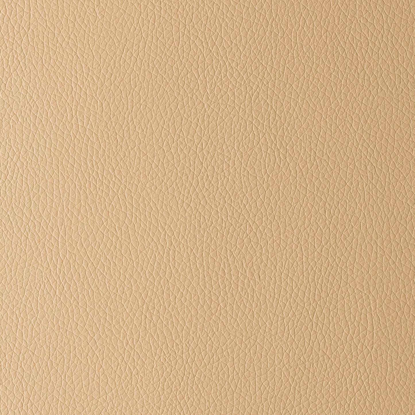 Omega Camel