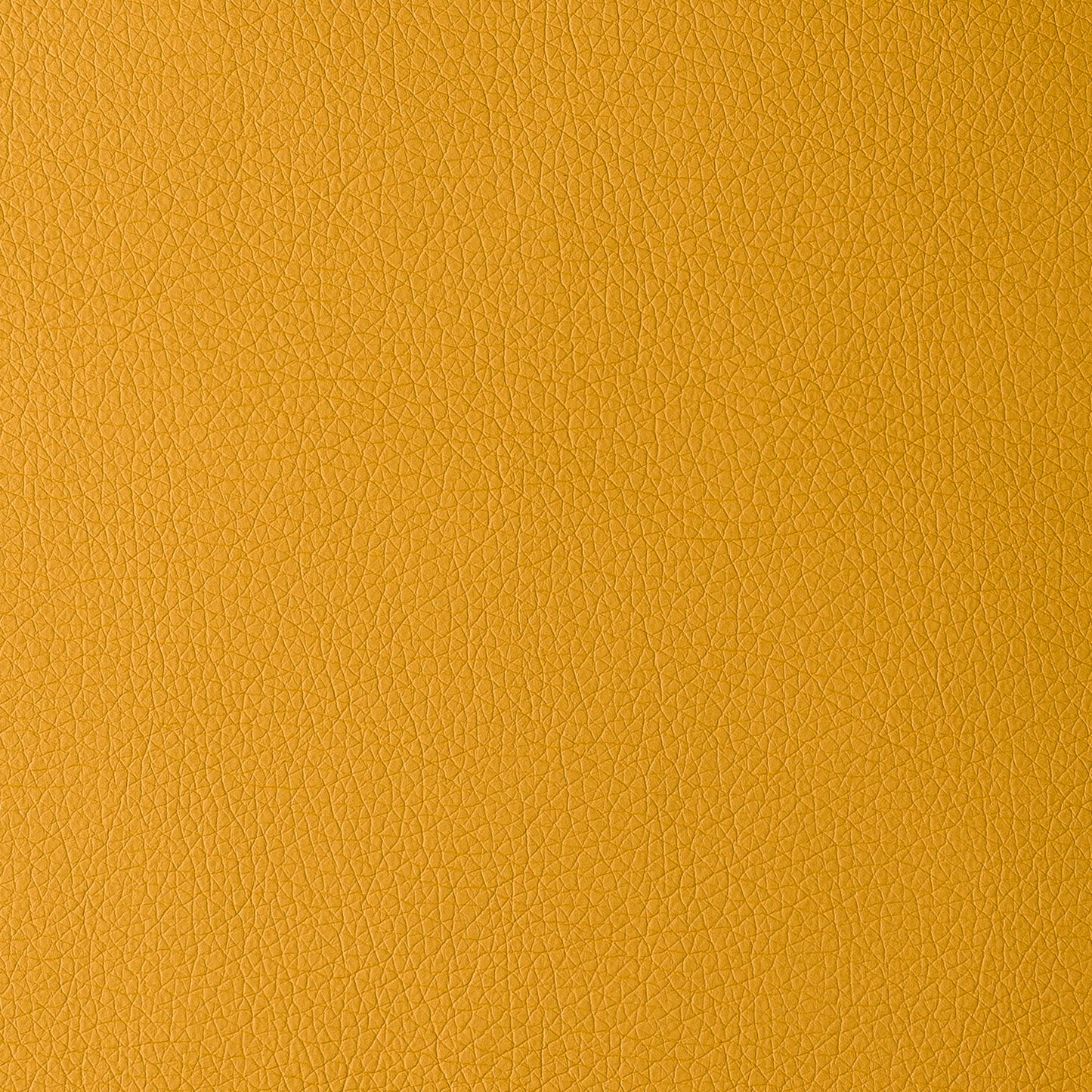 Uruguay Mustard