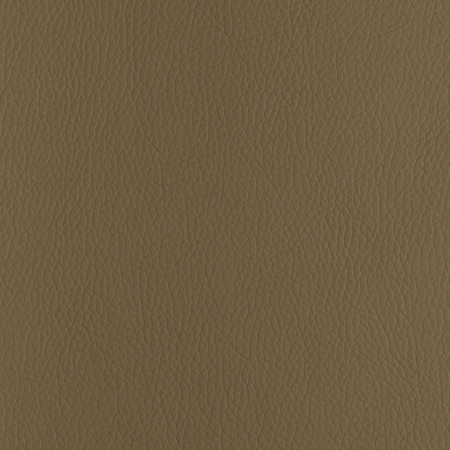 Voyager Light Camel