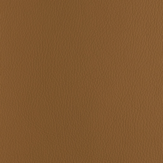 Voyager Camel